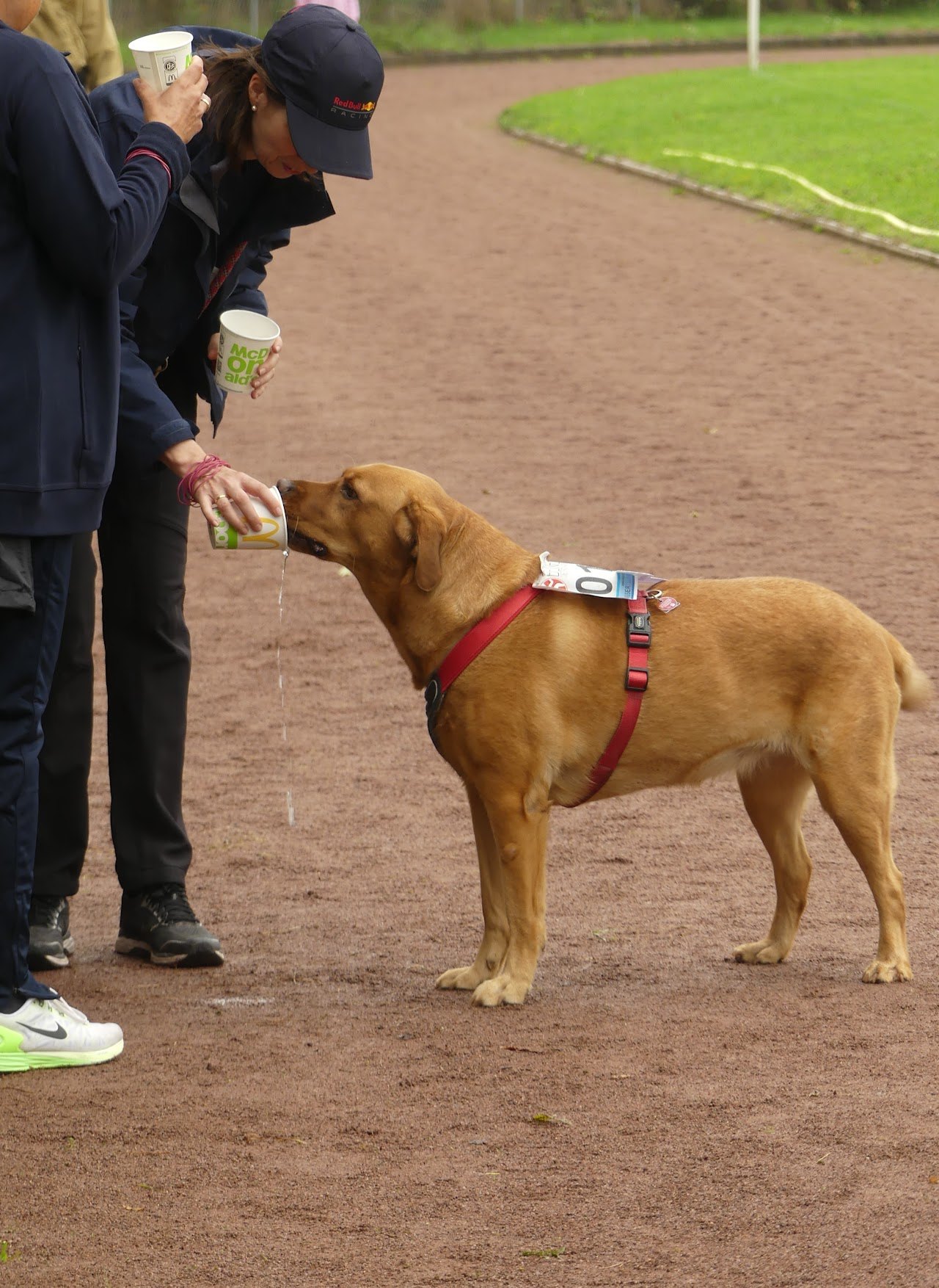 Bild vom 13. Benefizlauf im Jahr 2022. Dies ist das 217. Bild.